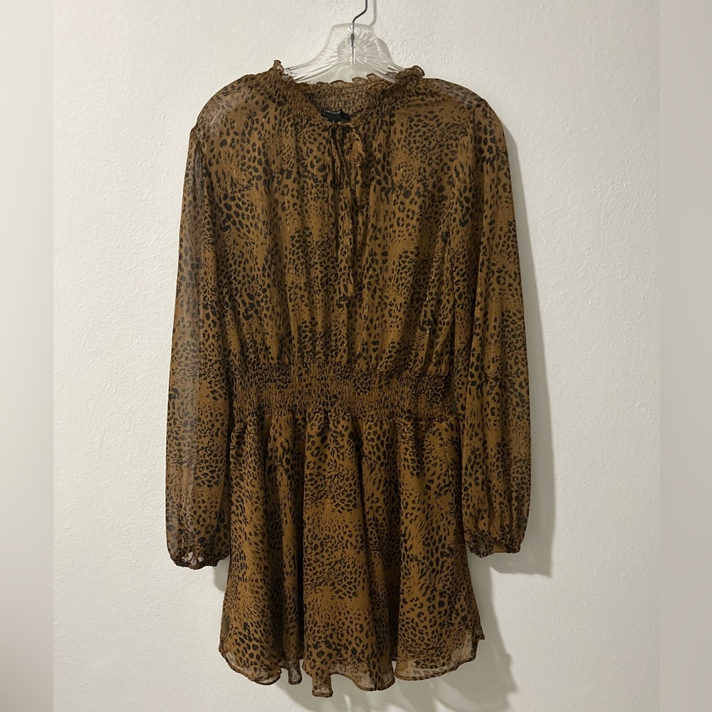 Animal Print Dress